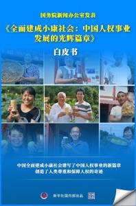 职业生涯的辉煌篇章