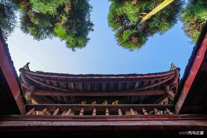 旅游博主在青城山学猴哥打卡
